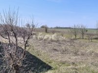 Eladó telek, Szarvasgedén 5.5 M Ft / költözzbe.hu