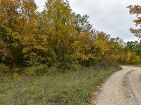 Eladó telek, Pécselyen 24.99 M Ft / költözzbe.hu