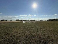 Eladó mezogazdasagi ingatlan, Orgoványon 79.9 M Ft, 3 szobás