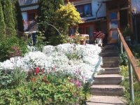 Eladó családi ház, Miskolcon, Előhegy utcában 64.99 M Ft