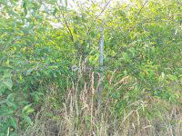 Eladó telek, Fonyódon 23.5 M Ft / költözzbe.hu