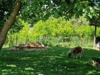 Eladó mezogazdasagi ingatlan