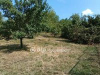 Eladó telek, XI. kerületben 36 M Ft / költözzbe.hu