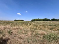 Eladó mezogazdasagi ingatlan, Kardoson 7.2 M Ft