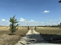 Eladó mezogazdasagi ingatlan, Dabason 47.5 M Ft, 3 szobás