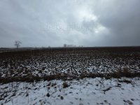 Eladó mezogazdasagi ingatlan