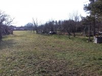 Eladó telek, Harkán 35 M Ft / költözzbe.hu