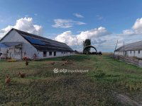 Eladó mezogazdasagi ingatlan, Polgáron 350 M Ft