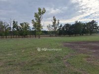 Eladó mezogazdasagi ingatlan, Kunmadarason 29.99 M Ft