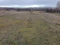 Eladó mezogazdasagi ingatlan