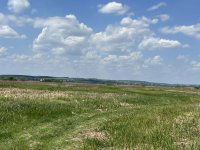 Eladó mezogazdasagi ingatlan, Sármelléken 99 M Ft