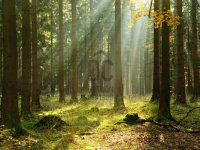 Eladó mezogazdasagi ingatlan, Nagykőrösön 28 M Ft