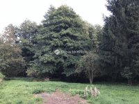 Eladó telek, Bagodon 12.49 M Ft / költözzbe.hu