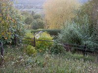 Eladó családi ház, Zalaegerszegen 15.7 M Ft, 1 szobás