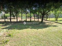 Eladó telek, Budakalászon 82 M Ft / költözzbe.hu