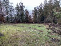 Eladó telek, Szigetszentmiklóson 38.9 M Ft / költözzbe.hu