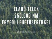 Eladó telek