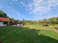 Eladó ipari ingatlan, Kecskeméten 260 M Ft / költözzbe.hu