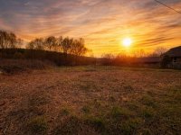 Eladó telek, Bakonycsernyén 10.5 M Ft / költözzbe.hu