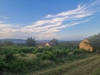 Eladó mezogazdasagi ingatlan, Keszün 22.5 M Ft