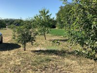 Eladó nyaraló, Gyomaendrődön 9.9 M Ft, 1+1 szobás