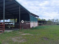 Eladó mezogazdasagi ingatlan, Kocséren 125 M Ft, 5 szobás