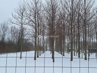 Eladó telek, Bicskén 9.5 M Ft / költözzbe.hu