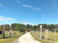 Eladó telek, Dorogon 224 M Ft / költözzbe.hu