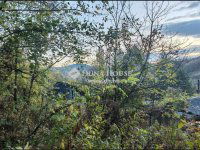 Eladó telek, Sárisápon 14.9 M Ft / költözzbe.hu