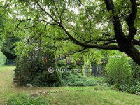 Eladó nyaraló, Solymáron 64.9 M Ft, 1+1 szobás