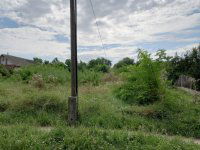 Eladó telek, Egyeken, Eötvös utcában 1.45 M Ft