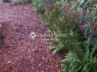 Eladó családi ház, Szentmártonkátán 18.9 M Ft, 2 szobás