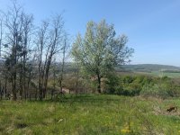 Eladó telek, Súron 11.8 M Ft / költözzbe.hu