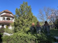 Eladó családi ház, III. kerületben 235 M Ft, 5+2 szobás