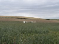 Eladó mezogazdasagi ingatlan, Szomódon 5.5 M Ft