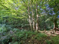 Eladó telek, Isztiméren 18 M Ft / költözzbe.hu