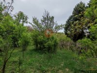 Eladó családi ház, Pécsett 16.5 M Ft, 2 szobás