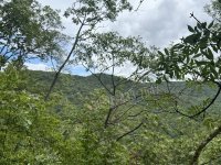 Eladó telek, Törökbálinton 37 M Ft / költözzbe.hu