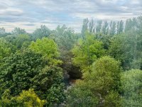 Eladó panellakás, XV. kerületben, Erdőkerülő utcában 69 M Ft