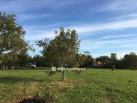 Eladó telek, Domoszlón 6.89 M Ft / költözzbe.hu