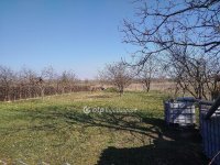 Eladó családi ház, Nagyalásonyon 51.5 M Ft