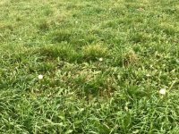 Eladó telek, Hajmáskéren 12 M Ft / költözzbe.hu