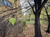 Eladó téglalakás, XIII. kerületben 75 M Ft, 2 szobás