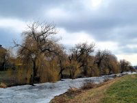 Eladó családi ház, Mosonmagyaróváron 89.9 M Ft, 3 szobás