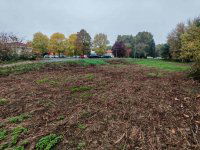 Eladó ipari ingatlan