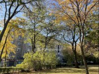 Eladó téglalakás, VIII. kerületben 74.9 M Ft, 3 szobás