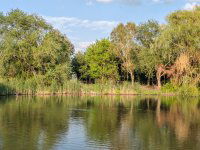 Eladó nyaraló, Csárdaszálláson 24.5 M Ft, 1+1 szobás