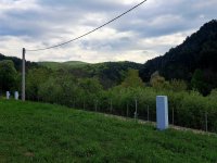 Eladó telek, Pányokon 30 M Ft / költözzbe.hu