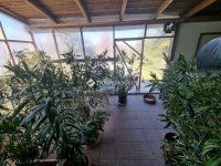 Eladó családi ház, Szigetszentmiklóson 98.9 M Ft, 5 szobás