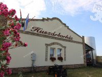 Eladó ipari ingatlan